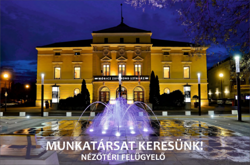 Nézőtéri felügyelőt keresünk!