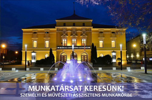 A nyíregyházi Móricz Zsigmond Színház Nonprofit Kft. pályázatot hirdet SZEMÉLYI ÉS MŰVÉSZETI ASSZISZTENS pozíció betöltésére!